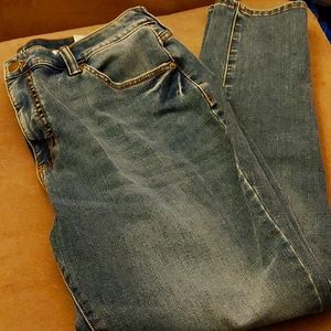 Time and Tru High Rise Curvy jeans